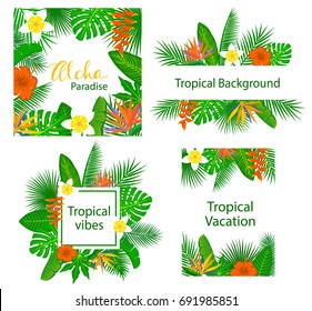 tropical foliage plants leaves flowers frame  border arrangements backgrounds set 