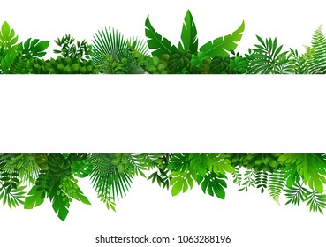 tropical forest background