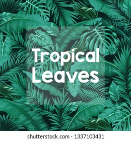 Tropical forest background