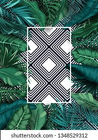 Tropical forest background