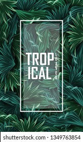 Tropical forest background