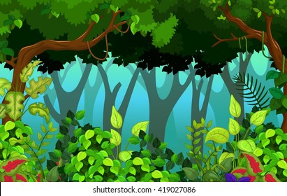 tropical forest background