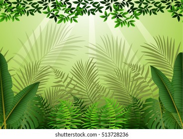 Tropical forest background