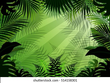 Tropical forest background