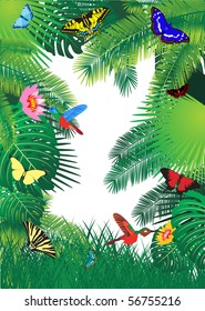 tropical forest background