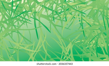 Tropical Forest background, Plants and Nature, Background