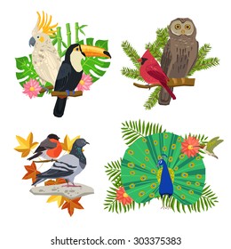 Tropical and forest birds on tree branches with flowers isolated vector illustration