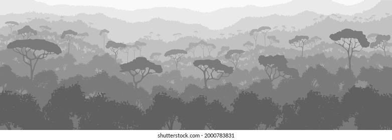 A tropical forest, black and white landscape, panoramic view