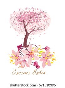 Tropical forest herbs and plants with leaves, flowers. Beautiful cassius baker with leaves and flowers. Vector illustration isolated on white background.