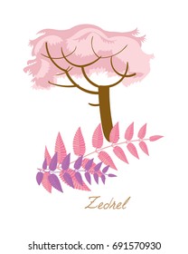 Tropical forest herbs and plants with leaves, flowers, fruits. Beautiful zedrel with leaves and fruits. Vector illustration isolated on white background.