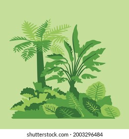 A tropical forest. Jungle flora. Green vector illustration