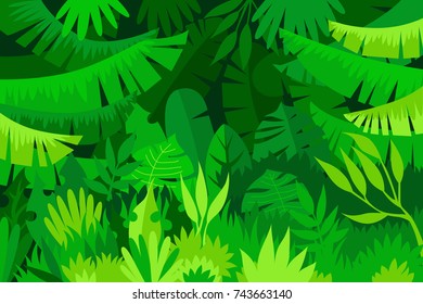 tropical forest. jungle. landscape