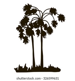 tropical forest,  jungle vintage template, palm tree silhouettes at white background, exotic trees, hand drawn vector illustration