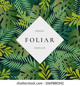 Tropical Forest Leaves Abstract Vector Background with Banner Template. Monstera Palm Leaf, Fern and other Foliage with Retro Typography Frame. Classy Vintage Card or Poster.