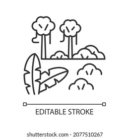 Icono lineal del bosque tropical. Selva tropical. Región con clima cálido y húmedo. Bioma ecuatorial. Ilustración personalizable de línea delgada. Símbolo de contorno. Dibujo de contorno aislado del vector. Trazo editable