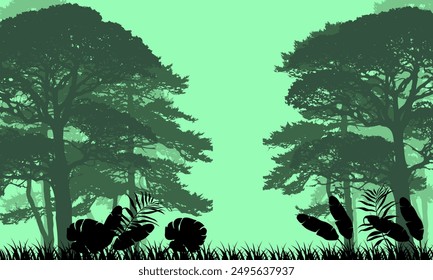 tropical forest natural landscape with dense trees