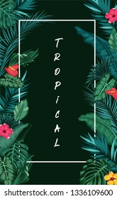 Tropical forest with rectangle frame on black background