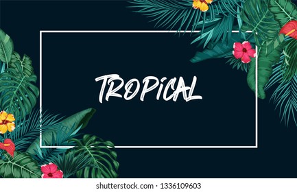 Tropical forest with rectangle frame on blue background