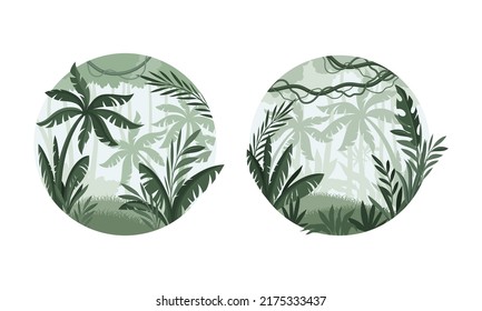 Tropical forest scenes set. Rainforest misty landscape in round shape vector illustration