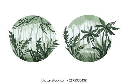 Tropical forest scenes set. Rainforest jungle misty landscape round shaped design vector illustration