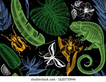 Tropical forest seamless pattern. Vector backdrop with hand drawn tropical plants, exotic flowers, palm leaves, insects and chameleon. Vintage paradise beach background. Exotic wildlife design.