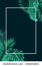 Tropical forest with square frame on black background