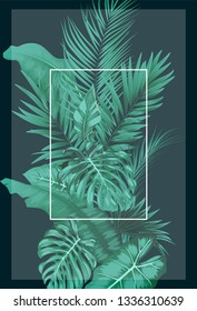 Tropical forest with square frame transparent