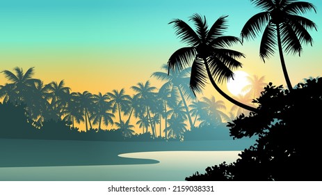 tropical forest sunset nature background with coconut trees