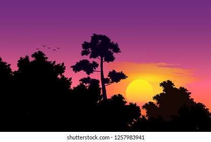 tropical forest sunset vector