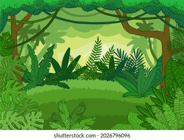 tropical forest vector image outline