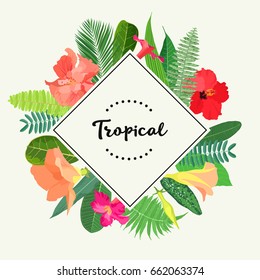 Tropical frame
