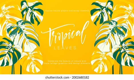 Tropical frame banner horizontal with monstera leaves on yellow background. Botanical vector creative design. Tropical leaves nature graphic element. Suit for poster, cover, cosmetics, spa.