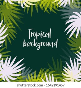 Tropical frame border background. Palm leaves print. Typography template vector illustration.