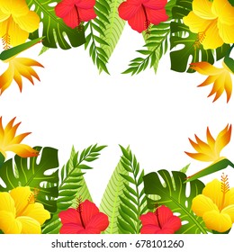 tropical frame colorful background graphic vector