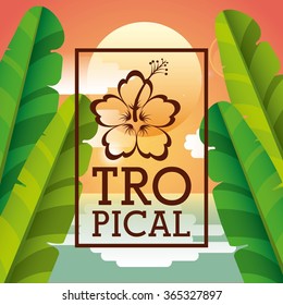 tropical frame design 