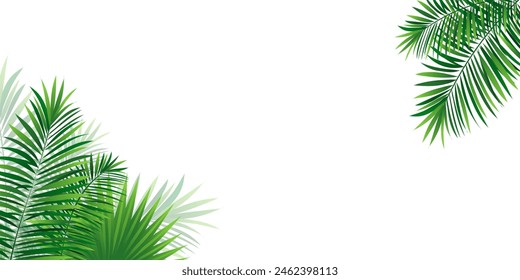 Tropical frame with exotic jungle plants, palm leaves, monstera and place for text. Foliage vector background. tropic design for travel, summer holiday, vacations card and banners