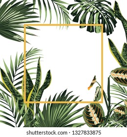 Tropical frame with exotic plants and palms monstera leaves. 