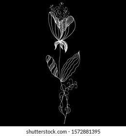 Tropical frame hand drawn. Jungle foliage illustration. Floral border. Hand drawing. Vector, isolated. Natural spring wedding card. Summer tropical leaf. Botanical frame. Line drawing