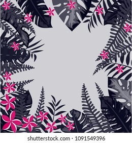 Tropical frame of leaves and flowers. Frames with jungle.