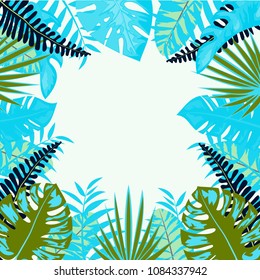 Tropical frame from the leaves of the monstera, fern, palm leaves.
