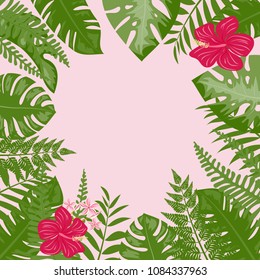 Tropical frame from the leaves of the monstera, fern, palm leaves.