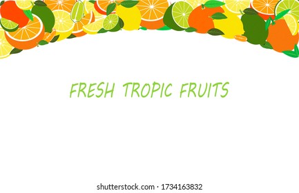 Marco tropical con limones, limas, naranjas y pomelos. Fondo o fondo de fondo de fruta vectorial.