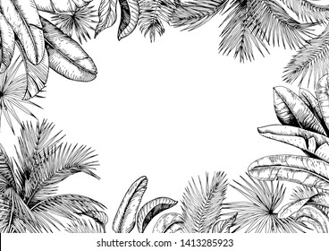 Tropical frame with palm and banana leaves. Black and white. Hand drawn vector illustration.