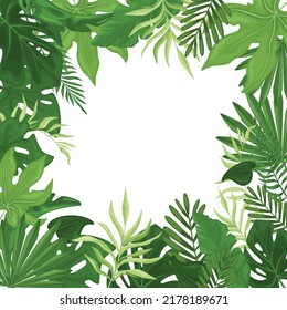 Tropical Frame With Palm Leaves In A Square. Hawaiian Flyer With Palm Leaves Isolated On White Background. Vector Illustration.