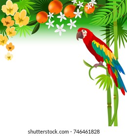 Tropical frame with parrot, palm leaves, fruits and exotic flowers.