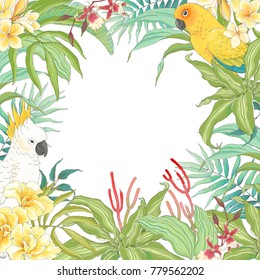 Tropical frame with Parrots, flowers Canna, Plumeria, Orchid and leaves. Vector illustration in vintage style.