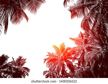 Tropical frame of realistic silhouettes of coconut palm trees. Sketch botanical vector illustration. Jungle banner. Top view