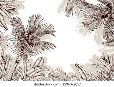 Tropical frame with sketchy palm leaves . Hand drawn vector illustration.