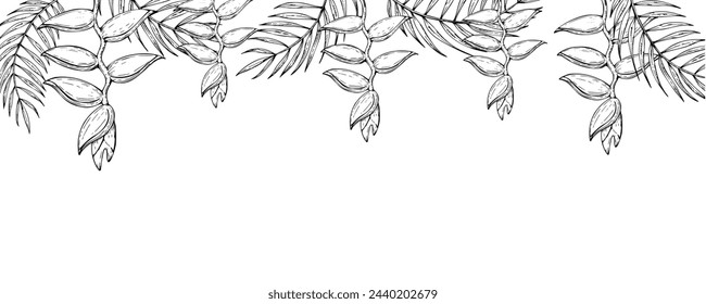 Marco tropical, plantilla, banner de hojas de palma vectoriales, ilustraciones de flores heliconias sobre fondo aislado. Hermoso elemento botánico exótico lineal pintado a mano. Para los diseñadores, decoración del spa, p