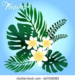 Tropical Frangipani